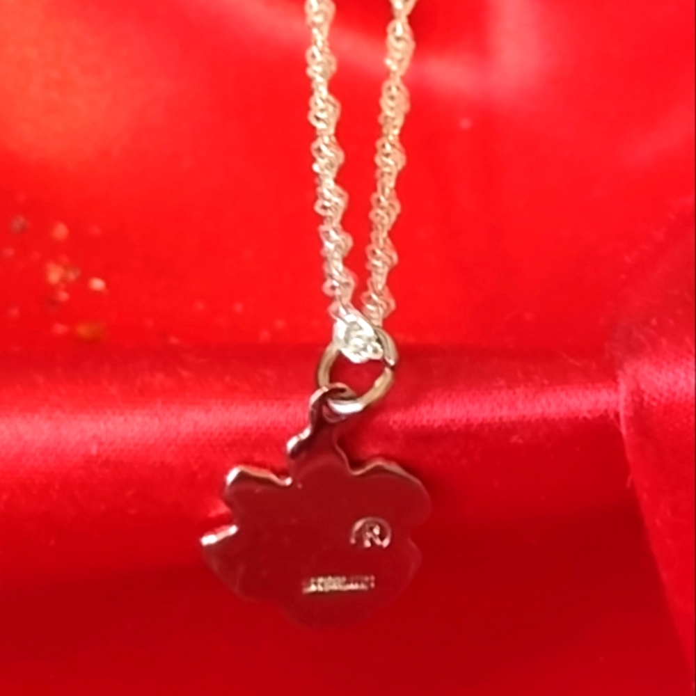 🐾.925 Paws to Your Heart Love Man's Best Friend Sterling Silver🐾 - Picture 5 of 9